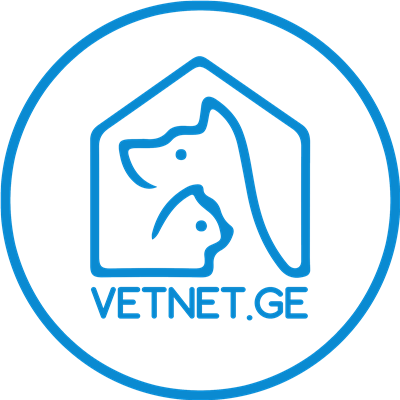 Vetnet.ge