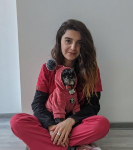 ვეტერინარი