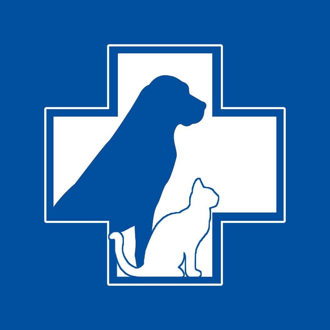 ზოოპლაზა
