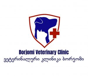 ბორჯომის კლინიკა