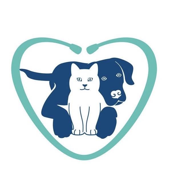 ფეთმედი